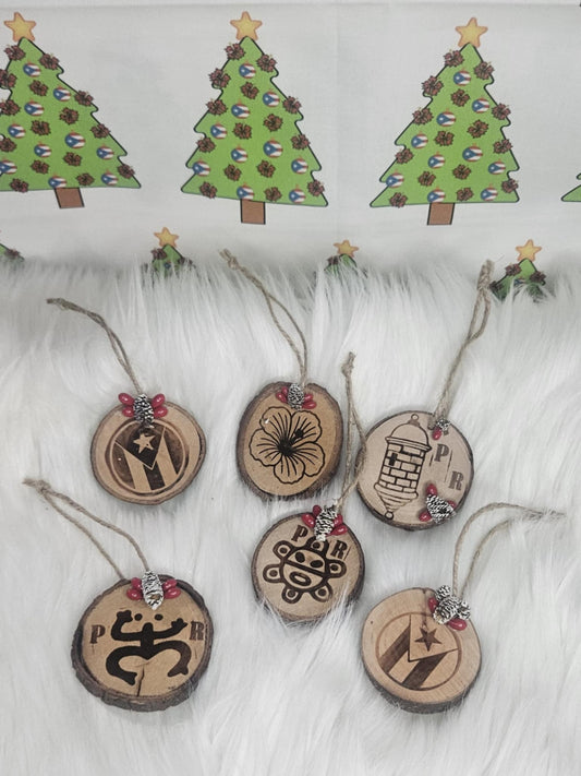 Roots of Borinquen/ Raíces de Borinquen